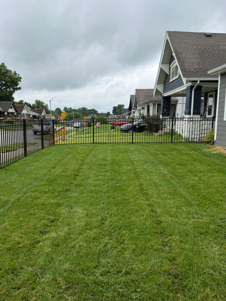 Professional Lawn Care Services
